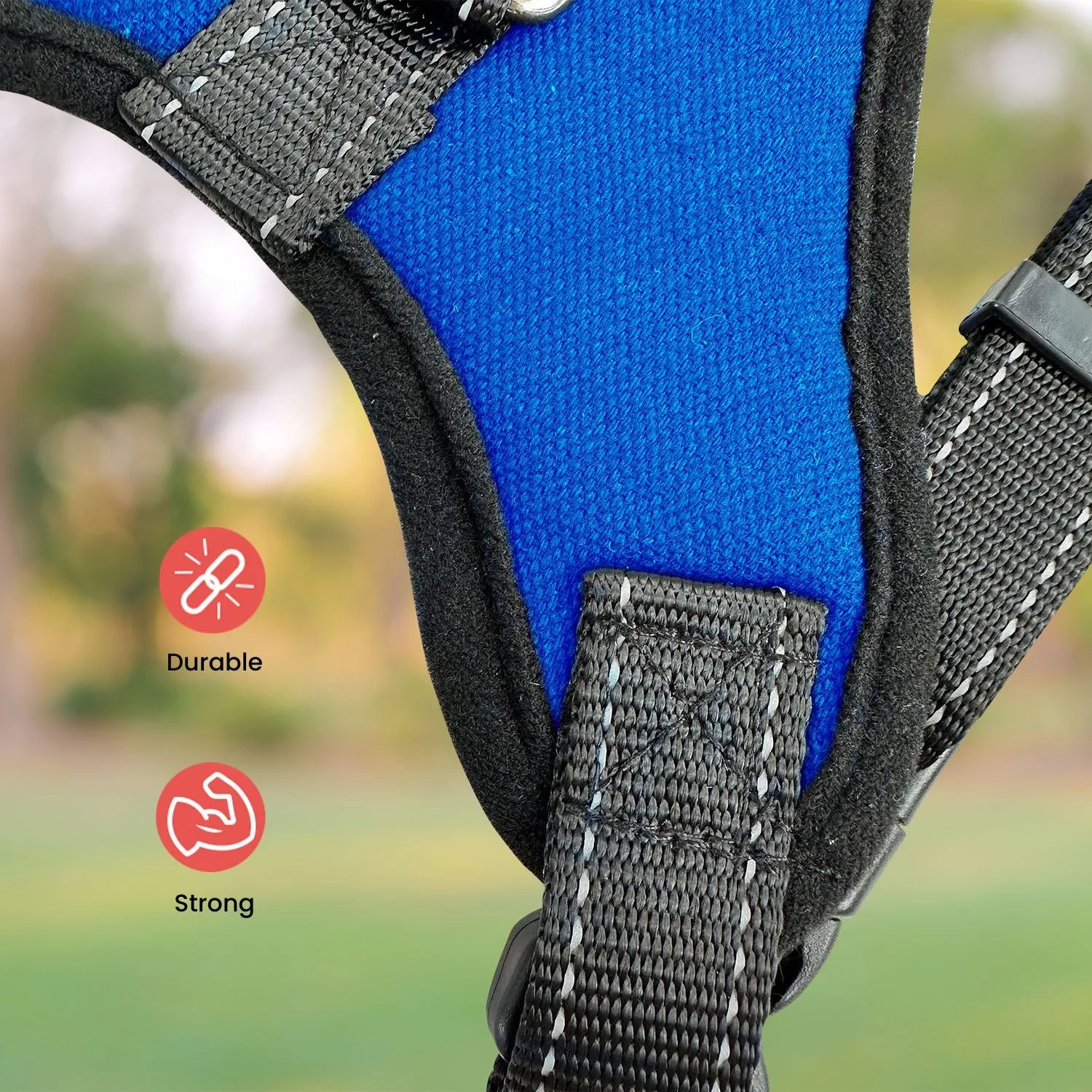 Durable Blue Medium Dog Harness, Adjustable, Soft - FLOOFI